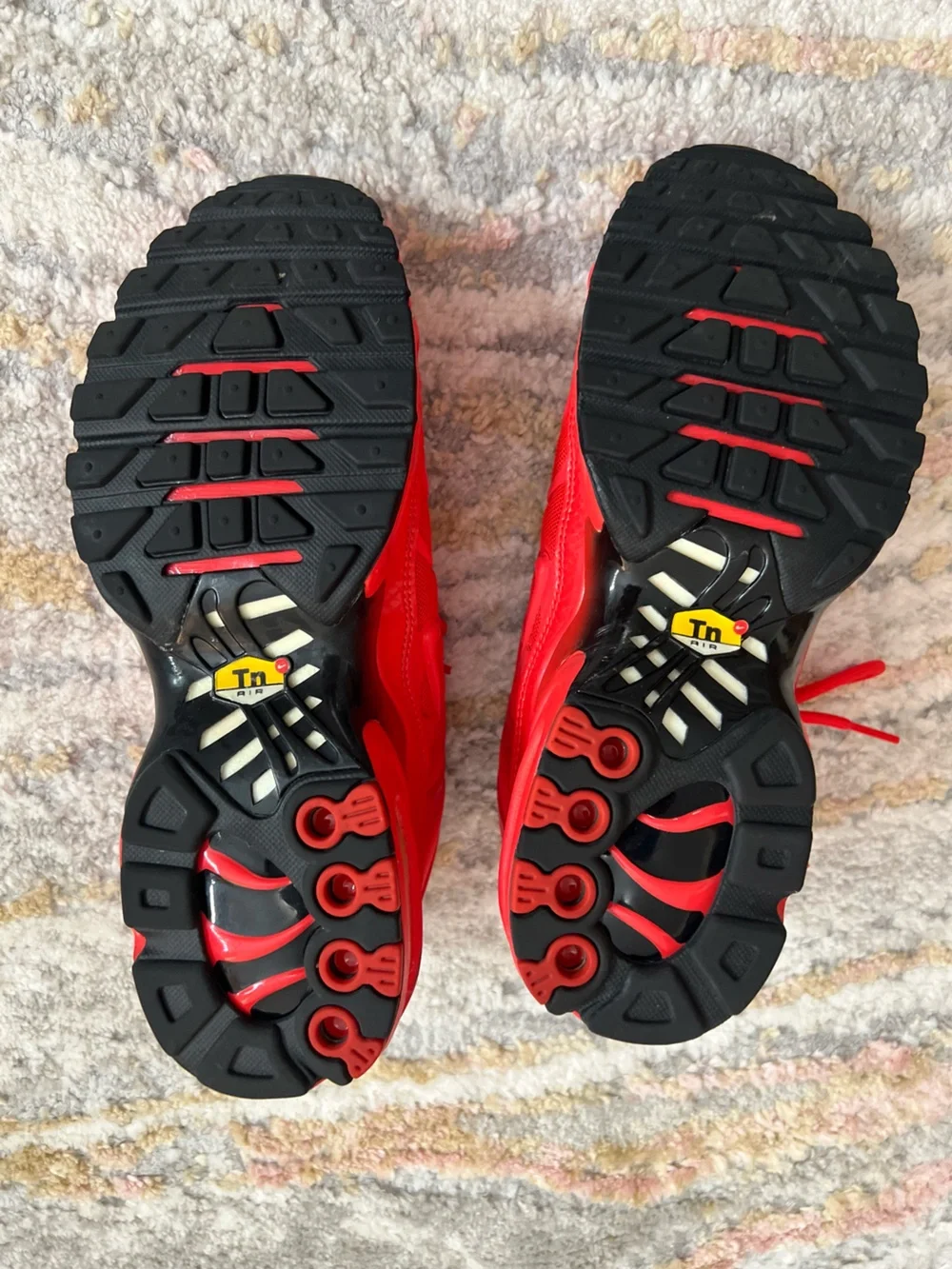 Nike Air Max Plus TN